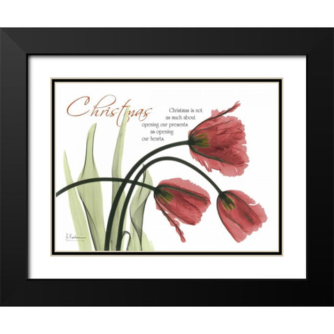 Christmas Tulips Black Modern Wood Framed Art Print with Double Matting by Koetsier, Albert