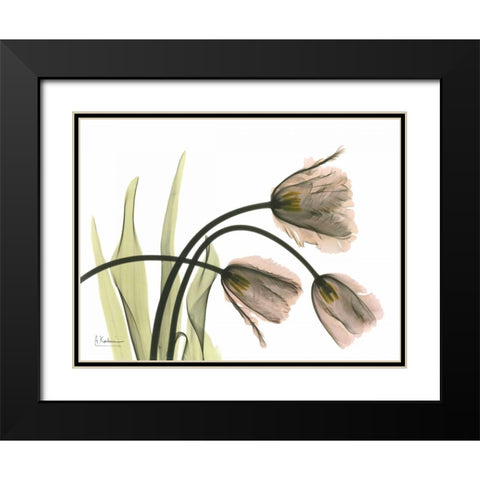 Tulips in the Wild Black Modern Wood Framed Art Print with Double Matting by Koetsier, Albert