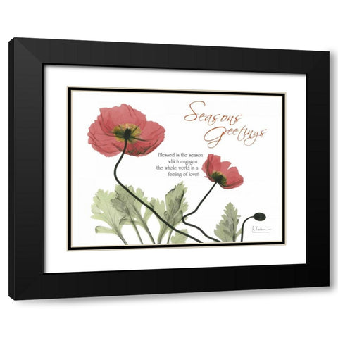 Iceland Poppies Seasons Black Modern Wood Framed Art Print with Double Matting by Koetsier, Albert