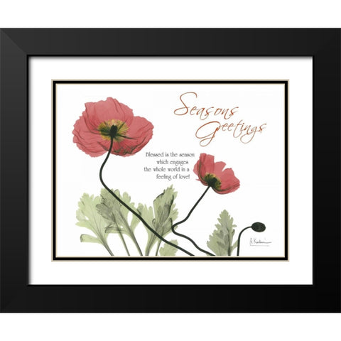 Iceland Poppies Seasons Black Modern Wood Framed Art Print with Double Matting by Koetsier, Albert