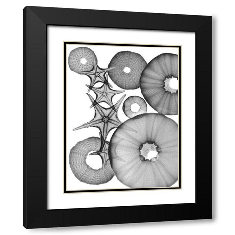 Universe Of Pythagoras Black Modern Wood Framed Art Print with Double Matting by Koetsier, Albert