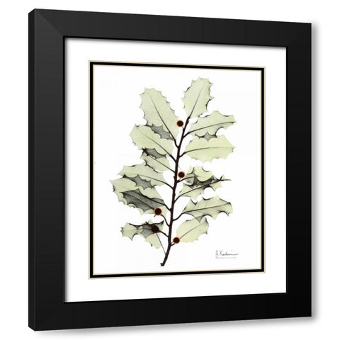 Holly in Green Black Modern Wood Framed Art Print with Double Matting by Koetsier, Albert