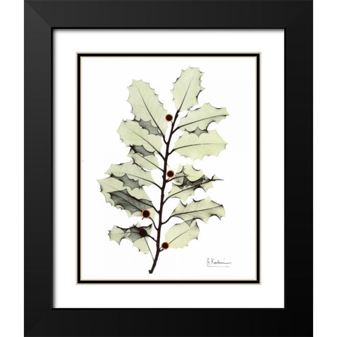 Holly in Green Black Modern Wood Framed Art Print with Double Matting by Koetsier, Albert