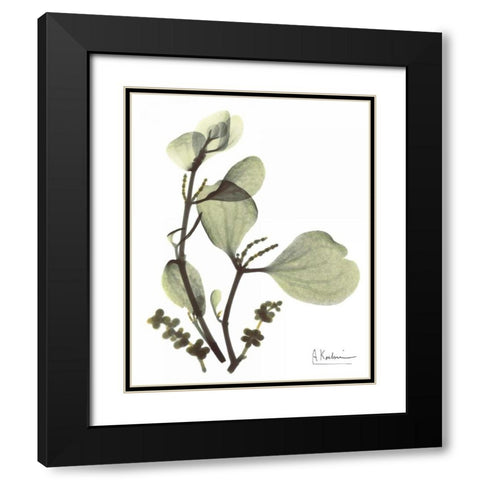 Mistle Toe in Green Black Modern Wood Framed Art Print with Double Matting by Koetsier, Albert