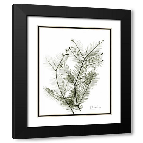 Evergreen in Green Black Modern Wood Framed Art Print with Double Matting by Koetsier, Albert