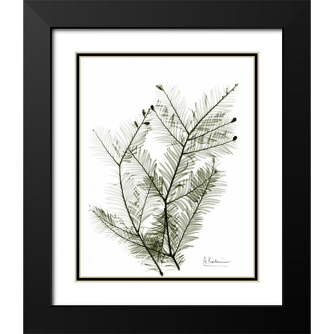 Evergreen in Green Black Modern Wood Framed Art Print with Double Matting by Koetsier, Albert