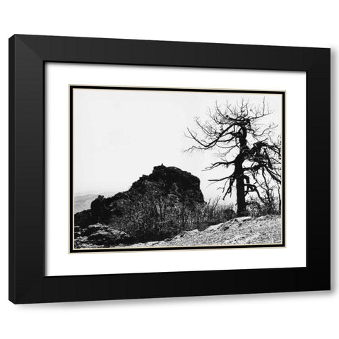 Bodi Kid Lookout Black Modern Wood Framed Art Print with Double Matting by Koetsier, Albert