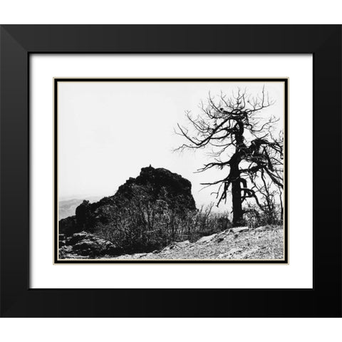 Bodi Kid Lookout Black Modern Wood Framed Art Print with Double Matting by Koetsier, Albert