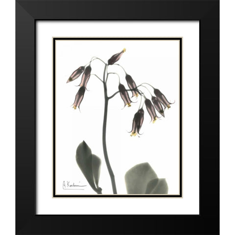Kalan Chloe in Color Black Modern Wood Framed Art Print with Double Matting by Koetsier, Albert