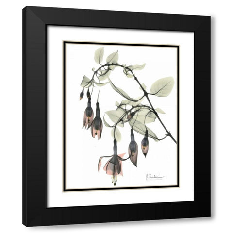 Fuchsia in Color Black Modern Wood Framed Art Print with Double Matting by Koetsier, Albert