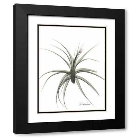 Zero Entropy Black Modern Wood Framed Art Print with Double Matting by Koetsier, Albert