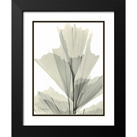 Fish Tail Palm Caryola Black Modern Wood Framed Art Print with Double Matting by Koetsier, Albert
