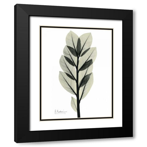 Zan Zibar Gem Black Modern Wood Framed Art Print with Double Matting by Koetsier, Albert
