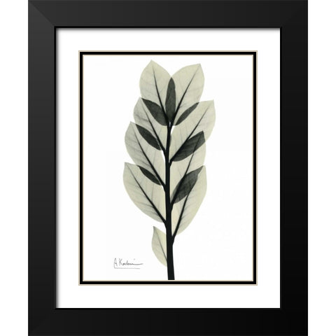 Zan Zibar Gem Black Modern Wood Framed Art Print with Double Matting by Koetsier, Albert