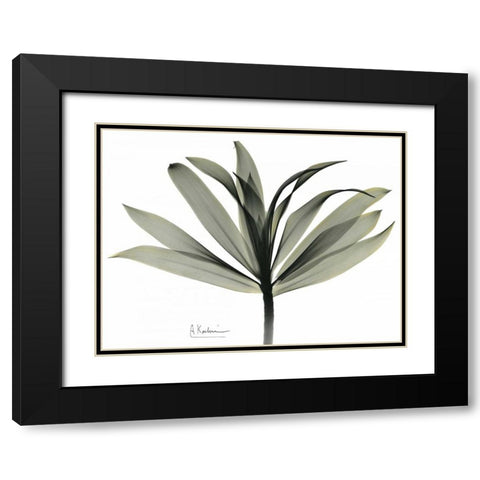 Sons of India Dracaena Black Modern Wood Framed Art Print with Double Matting by Koetsier, Albert