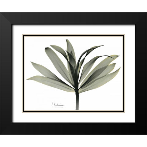 Sons of India Dracaena Black Modern Wood Framed Art Print with Double Matting by Koetsier, Albert