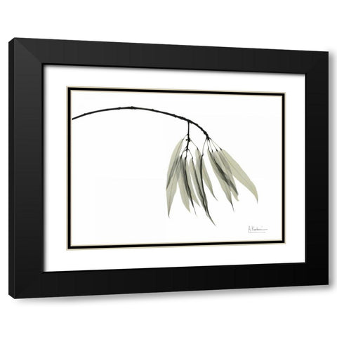 Bottle Tree Black Modern Wood Framed Art Print with Double Matting by Koetsier, Albert