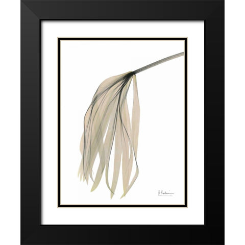Papyrus in Pink Black Modern Wood Framed Art Print with Double Matting by Koetsier, Albert