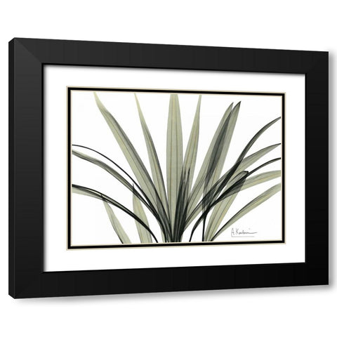 Mini Palm Tree Black Modern Wood Framed Art Print with Double Matting by Koetsier, Albert