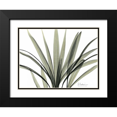 Mini Palm Tree Black Modern Wood Framed Art Print with Double Matting by Koetsier, Albert