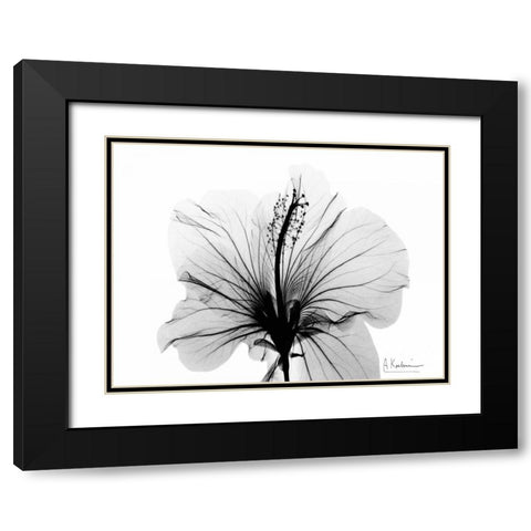 Hibiscus in BandW Black Modern Wood Framed Art Print with Double Matting by Koetsier, Albert