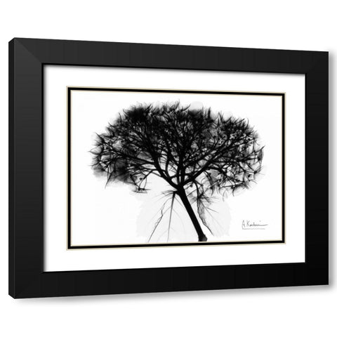 Hydrangea  Bunch In BandW Black Modern Wood Framed Art Print with Double Matting by Koetsier, Albert