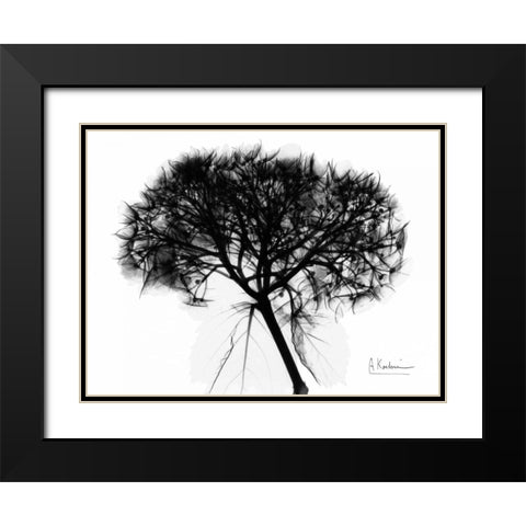 Hydrangea  Bunch In BandW Black Modern Wood Framed Art Print with Double Matting by Koetsier, Albert
