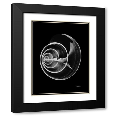 Seas Alive on Black Black Modern Wood Framed Art Print with Double Matting by Koetsier, Albert