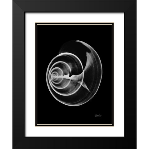 Seas Alive on Black Black Modern Wood Framed Art Print with Double Matting by Koetsier, Albert