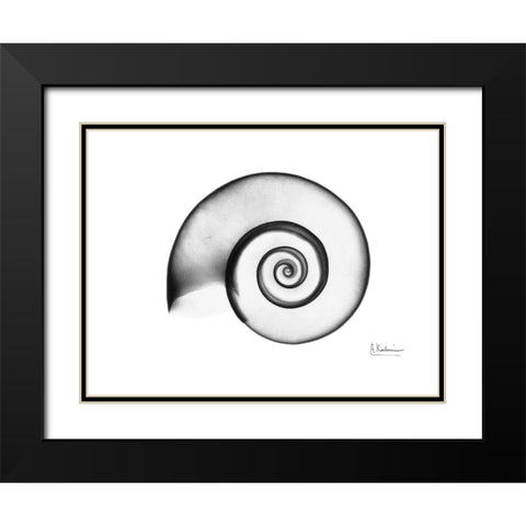 Ramshorn Snail Shell Black Modern Wood Framed Art Print with Double Matting by Koetsier, Albert