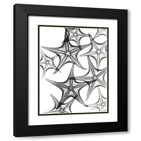 Starfish Black Modern Wood Framed Art Print with Double Matting by Koetsier, Albert