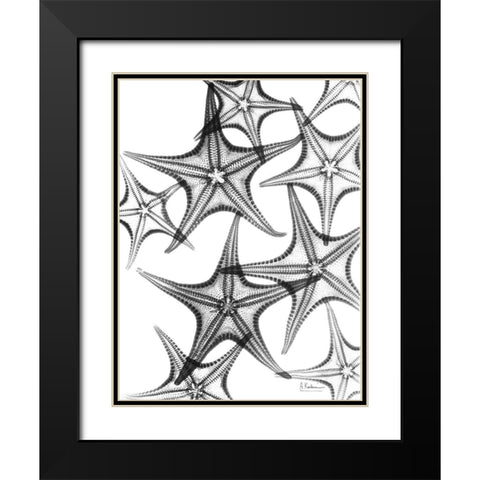 Starfish Black Modern Wood Framed Art Print with Double Matting by Koetsier, Albert