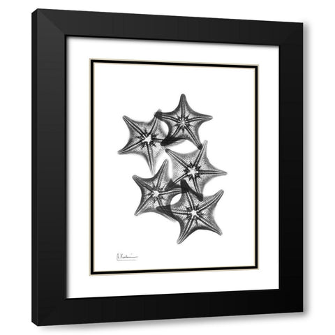 Starfish Black Modern Wood Framed Art Print with Double Matting by Koetsier, Albert