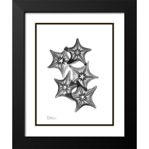 Starfish Black Modern Wood Framed Art Print with Double Matting by Koetsier, Albert