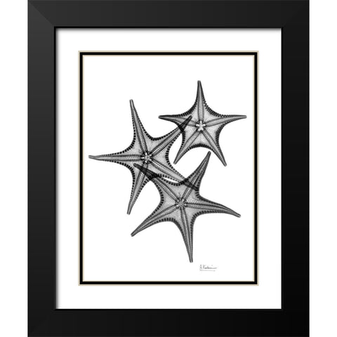 Starfish Black Modern Wood Framed Art Print with Double Matting by Koetsier, Albert