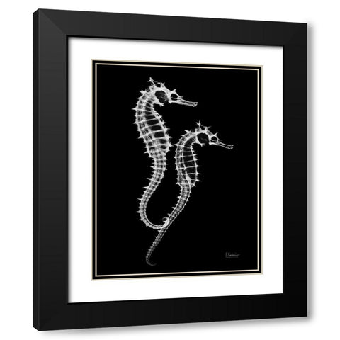 Seahorse Twins on Black Black Modern Wood Framed Art Print with Double Matting by Koetsier, Albert