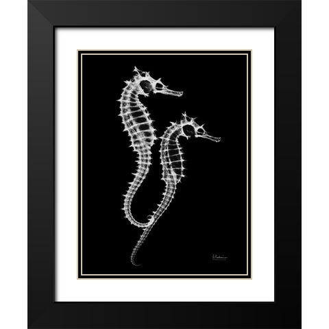 Seahorse Twins on Black Black Modern Wood Framed Art Print with Double Matting by Koetsier, Albert