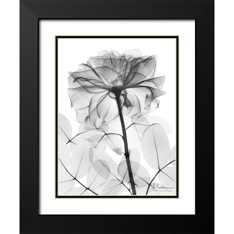 Rose Supreme 1 Black Modern Wood Framed Art Print with Double Matting by Koetsier, Albert