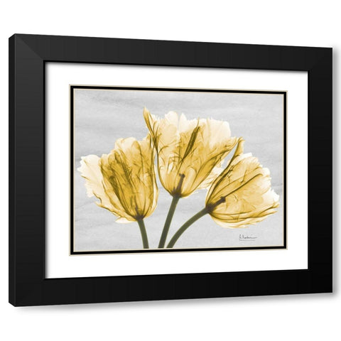 Sunny Trio Tulips Black Modern Wood Framed Art Print with Double Matting by Koetsier, Albert