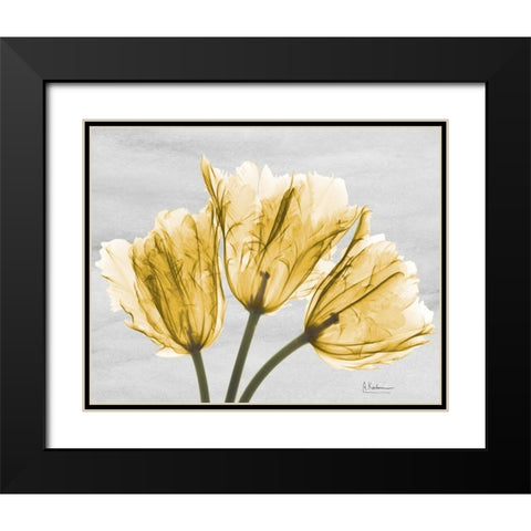 Sunny Trio Tulips Black Modern Wood Framed Art Print with Double Matting by Koetsier, Albert