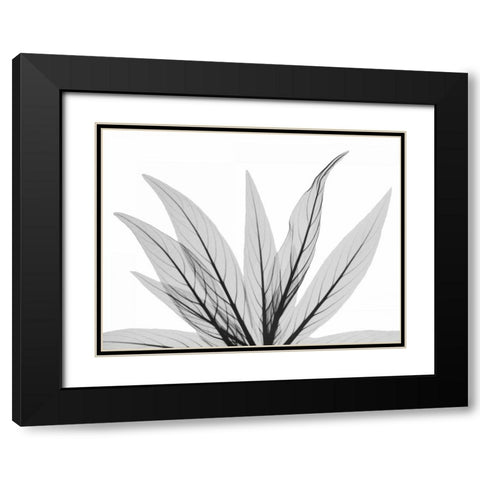 Luminous Fern 1 Black Modern Wood Framed Art Print with Double Matting by Koetsier, Albert