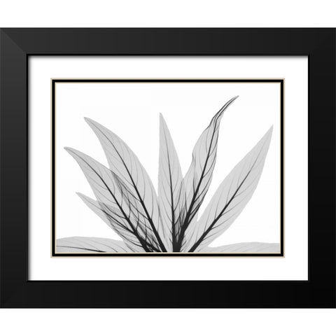 Luminous Fern 1 Black Modern Wood Framed Art Print with Double Matting by Koetsier, Albert