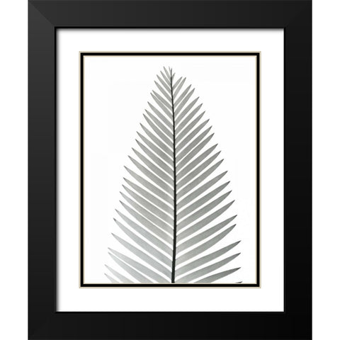 Tropical Fern 2 Black Modern Wood Framed Art Print with Double Matting by Koetsier, Albert