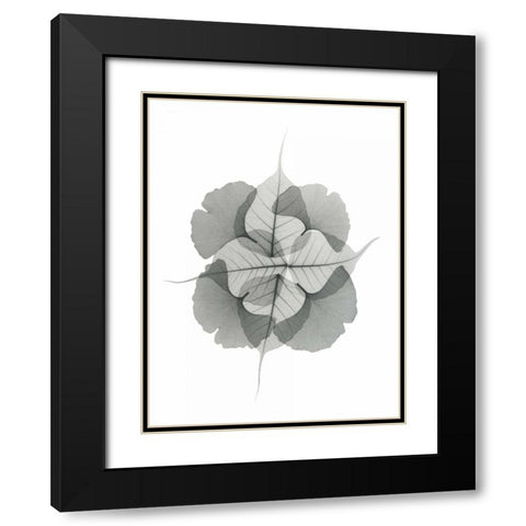 Kaleidoscope Sinko Black Modern Wood Framed Art Print with Double Matting by Koetsier, Albert