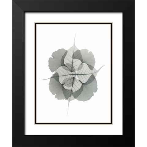 Kaleidoscope Sinko Black Modern Wood Framed Art Print with Double Matting by Koetsier, Albert