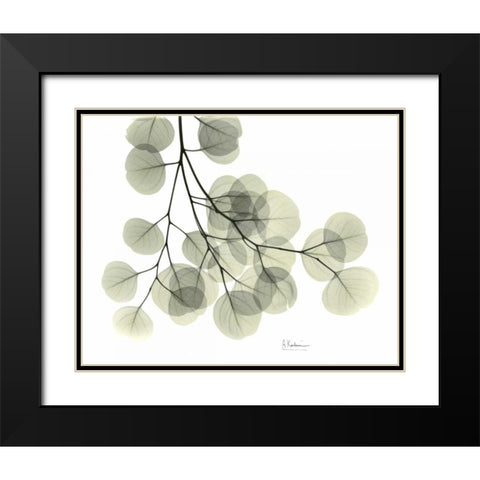 Eucalyptus Sweep Black Modern Wood Framed Art Print with Double Matting by Koetsier, Albert