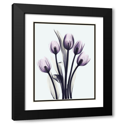 Essentially Tulips Black Modern Wood Framed Art Print with Double Matting by Koetsier, Albert