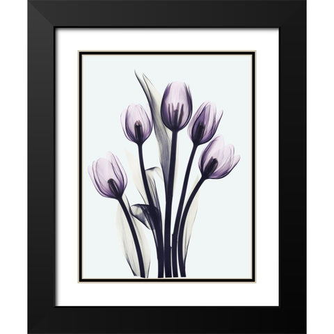 Essentially Tulips Black Modern Wood Framed Art Print with Double Matting by Koetsier, Albert