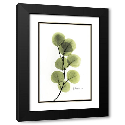 Eucalyptus Black Modern Wood Framed Art Print with Double Matting by Koetsier, Albert