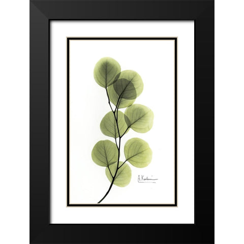 Eucalyptus Black Modern Wood Framed Art Print with Double Matting by Koetsier, Albert